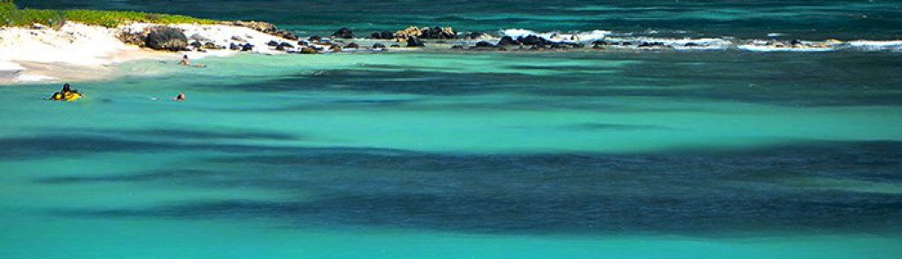 La Martinique par Vue Turquoise